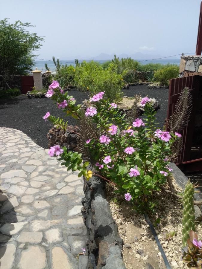 Coin De Paradis,Pavillon Doucimar Porto Novo Zewnętrze zdjęcie